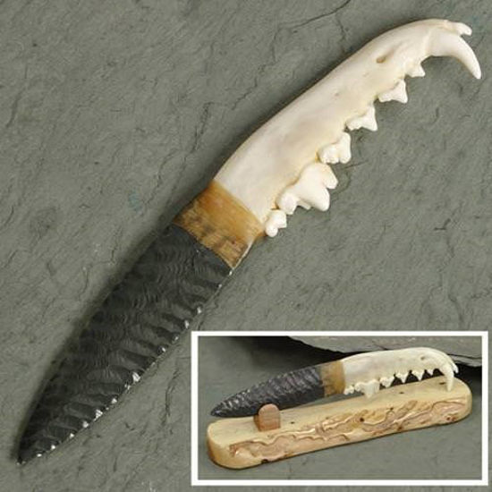 Coyote Jaw Obsidian Blade Knife