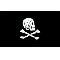 Henry Avery Pirate Flag - Skull & Cross Bones