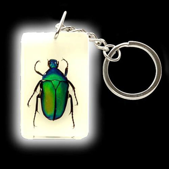 Picture of Insect Art Green Beetle Keychain
