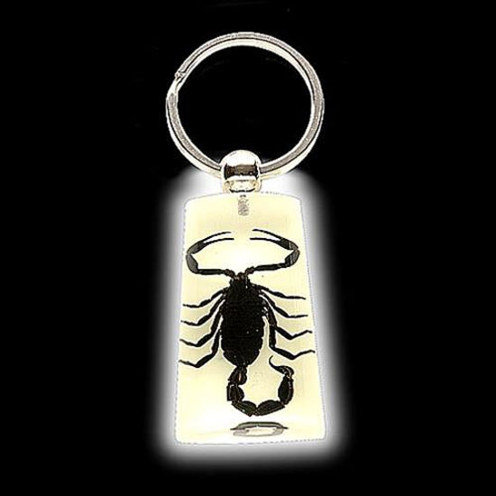 Picture of Insect Art Black Scorpion Keychain