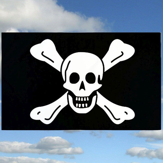 Richard Worley skull and crossbones Jolly Roger 3' x 5' pirate flag in indoor-outdoor poly with brass grommets