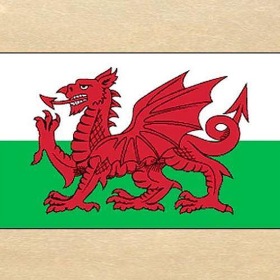 Picture of Welsh Dragon Flag