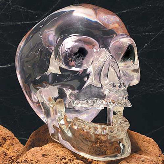 Picture of Clear Skull