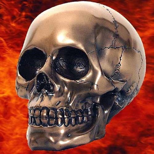 Picture of Bronze Skull