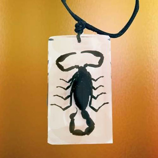 Picture of Insect Art Black Scorpion Necklace