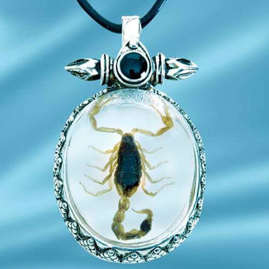 Picture of Insect Art Scorpion Necklace 