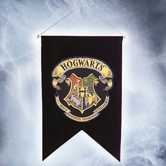 Picture of Hogwarts School Banner