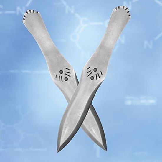 Picture of Throwing Knives - Set of 2