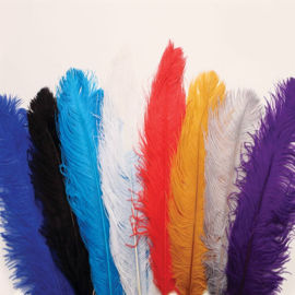 Decorative Hat Ostrich Feather Plumes