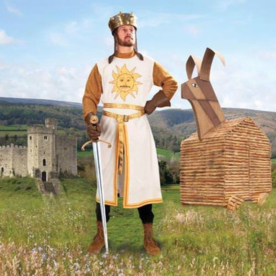 Picture of King Arthur Costume