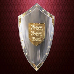 Picture of Lionheart Shield