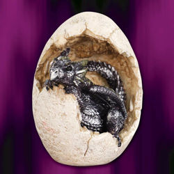 Picture of Dragon Hatchling Purple