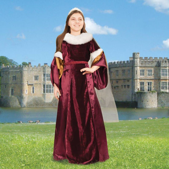 Picture of Queen Guinevere Girls Gown