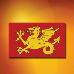 Picture of Wessex Flag