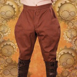 Picture of Striped Jodphur Style Pants