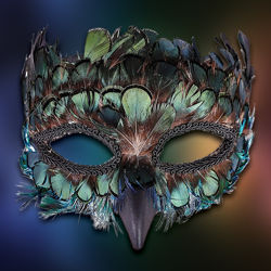Venetian Feathered Mask