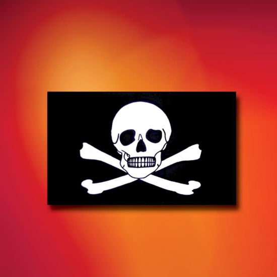 Skull and Crossbones Indoor Outdoor Pirate Flag