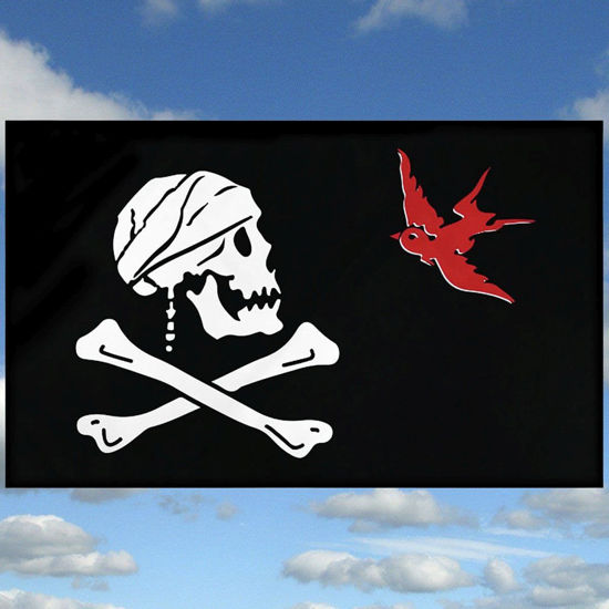 Jack Sparrow Pirate Flag large 3'x 5' indoor-outdoor use black with Skull & Crossbones and red sparrow, metal grommets