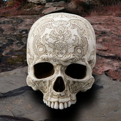 polystone Thistle Flying Dragon Skull has carved design of flying dragons and swirling thistle with small crown in skull's forehead