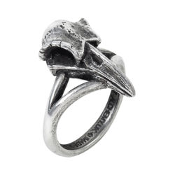 Hand-made in England, raven skull ring is polished, antiqued pewter on a split ring shank, Available in sizes 7, 8-1/2 9-1/2